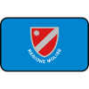 Flaggenlogo der Molise