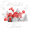 Winter Time