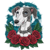Cute greyhound with pretty roses