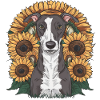 Lévrier et tournesols