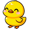 Duckling Duck Duck Duck