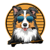 Cool Australian Shepherd with Sunglasses
