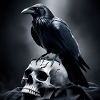 Raven 1