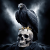 Eagle 1