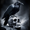 Raven 3
