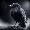 Raven 2
