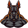 Doberman Dog