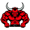 Bull Animal