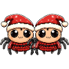Tarantula Christmas Team