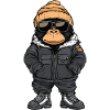 Gorilla Winter