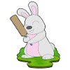 Battes de cricket Bunny Cricket