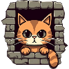 Chat mignon
