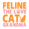 Cadeaux de grand-mère chat