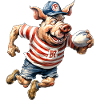 Cochons Rugby