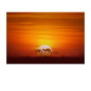 Explore the outback
