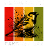 Canary Kanarienvogel