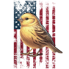 Canary US Kanarienvogel