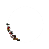 Noël