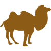 Kamel