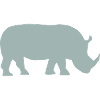 Rhinoceros