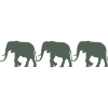 Éléphants