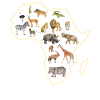 Animals Living in Africa