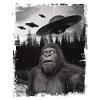 Ufo Alien Bigfoot Sasquatch
