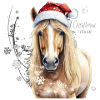 It's Christmas time
