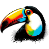 Toucan