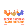 Chicken Poultry