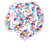 Boykin Spaniel Dog Geometric