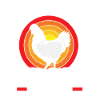 Chicken Poultry