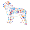 Newfoundland Dog Geometric