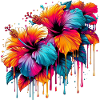 Fleurs d’hibiscus