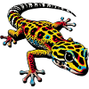 Gecko