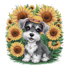 Mignon schnauzer nain aux tournesols