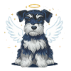 Miniature schnauzer as angel