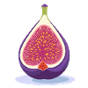 Fig