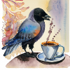 Jackdaw with Jackdaw