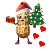 cacahuète sincère Noël voeux Noël