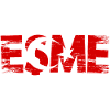 Esme Turkey Flag Usak used