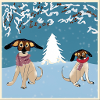 Dog winter