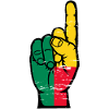 Benin flag number 1 used