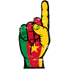 Cameroon flag number 1 used