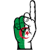 Algeria flag number 1 used