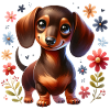 Cute Dachshund Dachshund