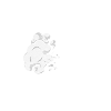 narguilé fumer chill nicotine