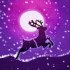 Galloping reindeer