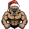 Chien Noël Père Noël