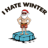 weihnachtsmann eisscholle winter